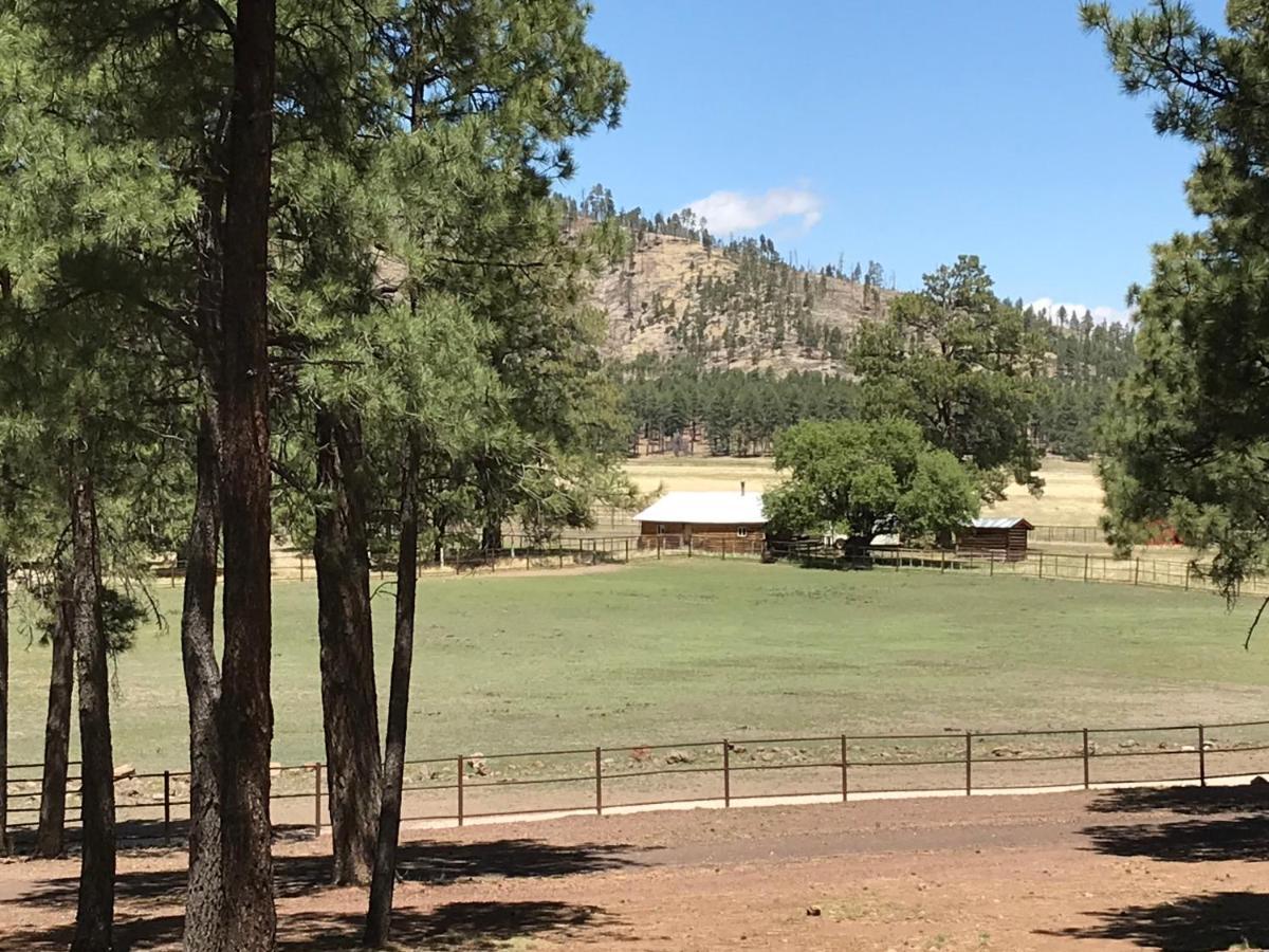 Grand Canyon 1Bd Loft/Suite-Horseback Riding-Shooting-Dogs Ok! Parks エクステリア 写真