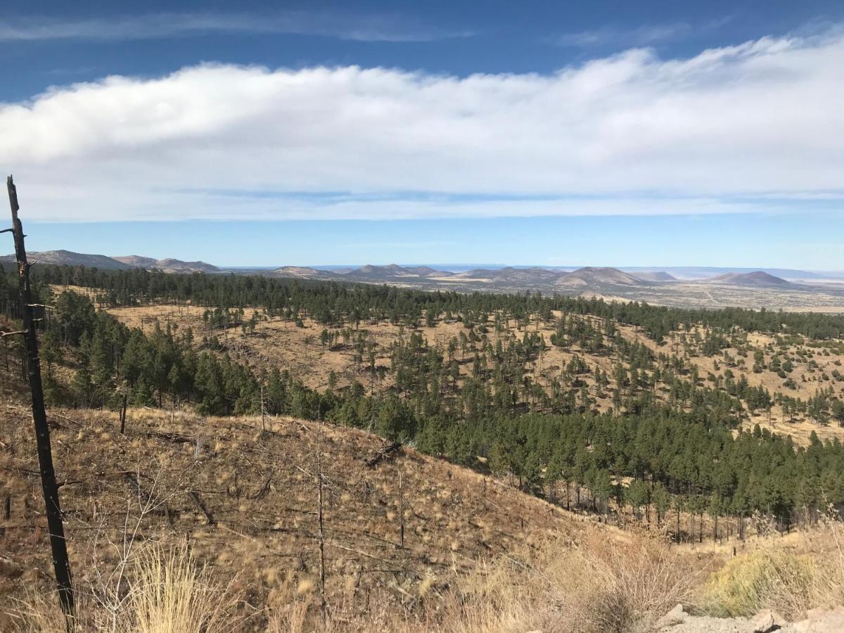 Grand Canyon 1Bd Loft/Suite-Horseback Riding-Shooting-Dogs Ok! Parks エクステリア 写真